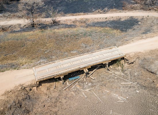 שטחים מיובשים ביערות הגשם / צילום: גרינפיס