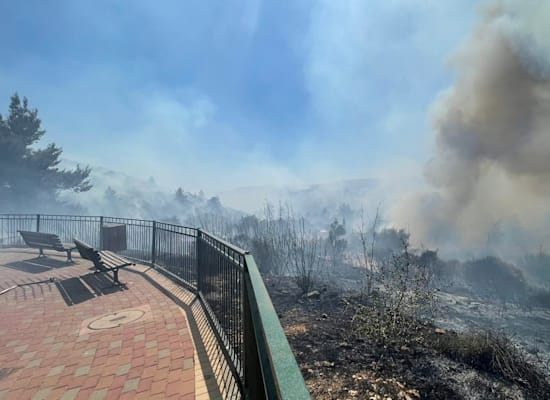 השריפה בצור הדסה היום / צילום: דוברות כבאות והצלה