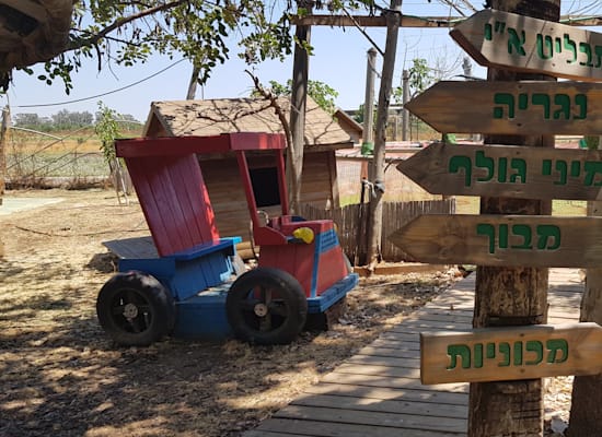 דרך העץ / צילום: אורלי גנוסר