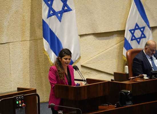 ח"כ שרן השכל / צילום: דני שם טוב - דוברות הכנסת ח"כ שרן השכל / צילום: דני שם טוב - דוברות הכנסת