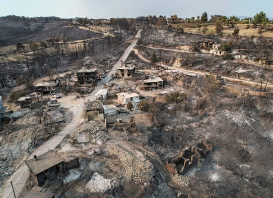 כפר, ליד העיר הטורקית מנבגט, שנהרס על ידי השריפות שמשתוללות באזור / צילום: Associated Press