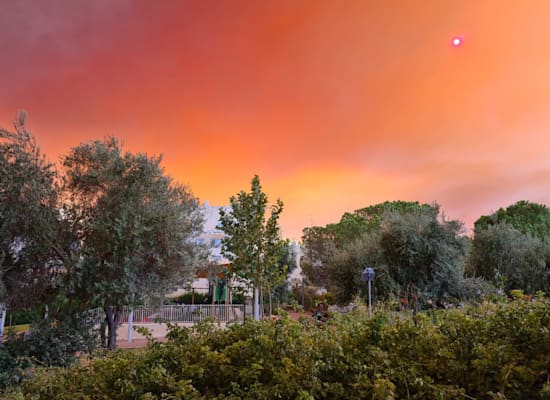 השריפה סמוך לירושלים / צילום: אחוה יאלר צוריה