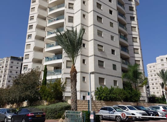 צאלון, קרית ים / צילום: איל יצהר צאלון, קרית ים / צילום: איל יצהר