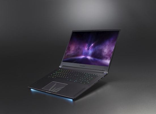 Ultragear 17G90Q / צילום: יח''צ LG Ultragear 17G90Q / צילום: יח''צ LG