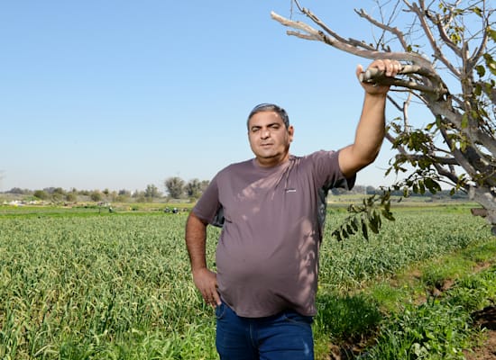 דודו מיכאלי / צילום: איל יצהר