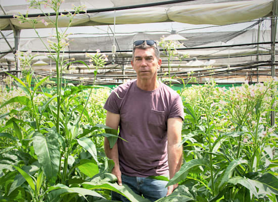 דרור שליטין, מייסד ומנכ''ל פלנטארק / צילום: יח''צ דרור שליטין, מייסד ומנכ''ל פלנטארק / צילום: יח''צ