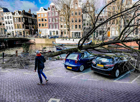 נזקי הסופה ''יוניס'' ברחובות אמסטרדם / צילום: Reuters, Utrecht Robin/ABACA נזקי הסופה ''יוניס'' ברחובות אמסטרדם / צילום: Reuters, Utrecht Robin/ABACA