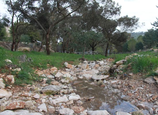 פארק נחל תבור / צילום: אורלי גנוסר