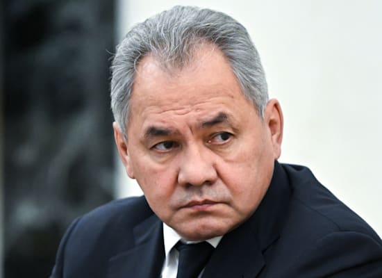 Defense Minister Sergei Shoigu / Photo: Associated Press, Yegor Aleyev