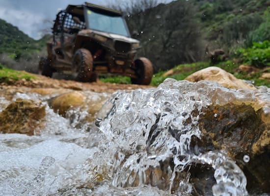 רייזרים דישון / צילום: טרקטורוני דישון