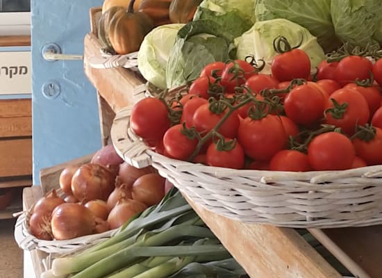 ה"קואופ האורגני".  גן עדן לטבעונים ושוחרי בריאות. / צילום: חגית אברון