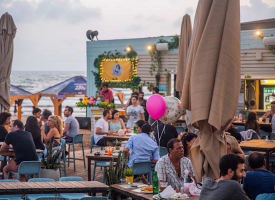 עלמה ביץ' / צילום: Yuval co. Photography עלמה ביץ' / צילום: Yuval co. Photography