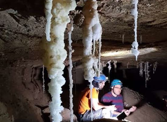 מערת המלח. מאות נטיפי מלח יוצרים פסלים מרהיבים / צילום: אורלי גנוסר