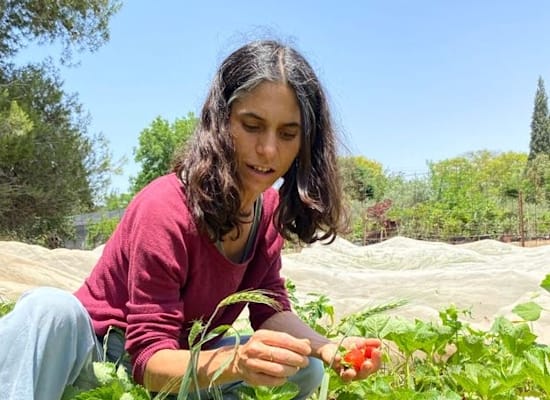 אלה בשדה התות. מפיחה אופטימיות ותקווה בתחזית החקלאית הקודרת / צילום: גליה בן חיים