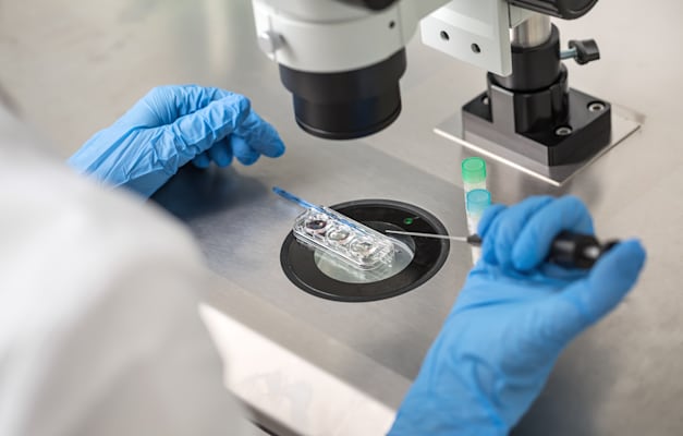 טיפולי IVF. עשירים משתמשים ביכולות טכנולוגיות ליצירת תינוקות מושבחים גנטית / צילום: Shutterstock, bezikus טיפולי IVF. עשירים משתמשים ביכולות טכנולוגיות ליצירת תינוקות מושבחים גנטית / צילום: Shutterstock, bezikus