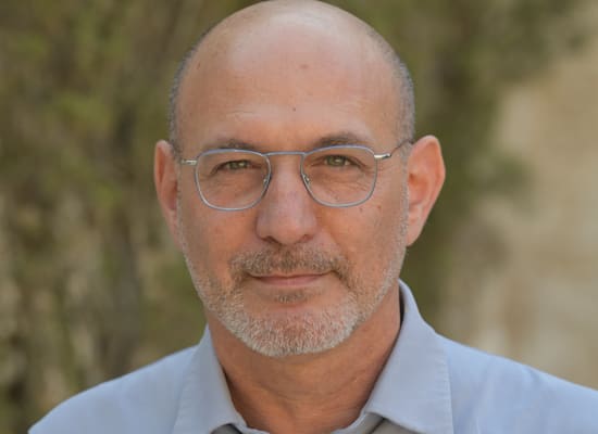 ברודי / צילום: ברונו שרביט