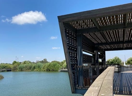 הפארק האקולוגי בהוד השרון / צילום: גליה בן חיים הפארק האקולוגי בהוד השרון / צילום: גליה בן חיים