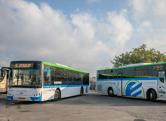 אוטובוסים של חברת אפיקים / צילום: יח''צ אוטובוסים של חברת אפיקים / צילום: יח''צ