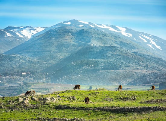 החרמון / צילום: Shutterstock, John Theodor החרמון / צילום: Shutterstock, John Theodor