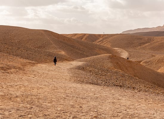 חולות מערב הנגב / צילום: Shutterstock, Bacharz חולות מערב הנגב / צילום: Shutterstock, Bacharz