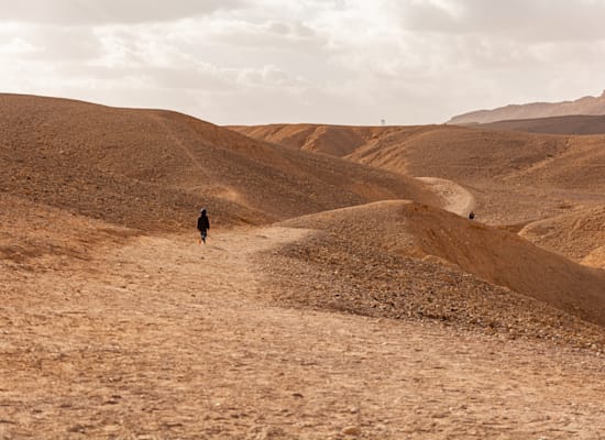 חולות מערב הנגב / צילום: Shutterstock, Bacharz