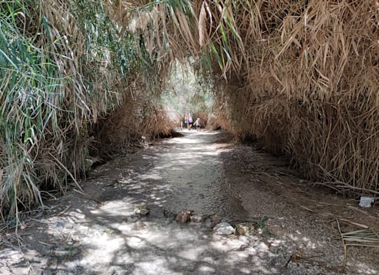 נחל בוקק / צילום: אורלי גנוסר