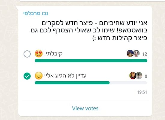 פיצ'ר הסקרים החדש של וואטסאפ / צילום: צילום מסך