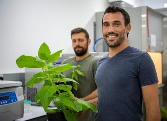 טל לוצקי (CEO) ואמיר טירולר (CTO), מייסדי פיגמנטום / צילום: Pigmentim טל לוצקי (CEO) ואמיר טירולר (CTO), מייסדי פיגמנטום / צילום: Pigmentim