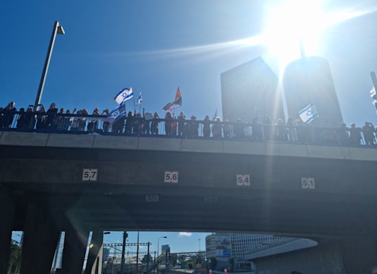 מפגינים על גשר מעל איילון / צילום: גלובס מפגינים על גשר מעל איילון / צילום: גלובס