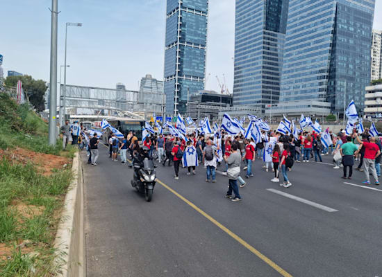 מפגינים על איילון דרום / צילום: תמונה פרטית