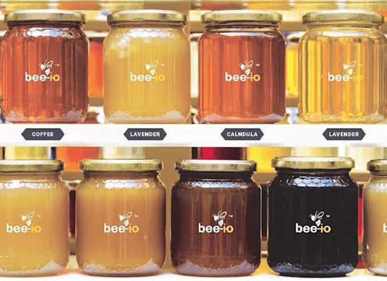 צנצנות דבש של BEE IO / צילום: אתר החברה צנצנות דבש של BEE IO / צילום: אתר החברה