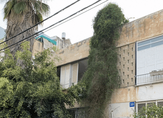 התחדשות עירונית ברחוב עמוס 10־12, תל אביב / הדמיה: PITOM STUDIO צילום: יח''צ התחדשות עירונית ברחוב עמוס 10־12, תל אביב / הדמיה: PITOM STUDIO צילום: יח''צ