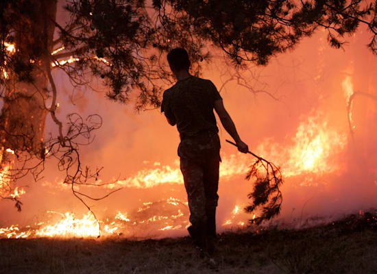 שריפות באוקראינה כתוצאה מהמלחמה / צילום: Reuters