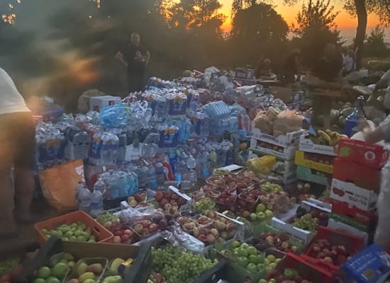 אספקת המזון שהייתה אתמול במחנה בשורש / צילום: לילך שטיאט