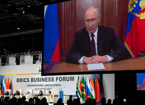 נשיא רוסיה השתתף בוועידת BRICS מרחוק, בשל צו המעצר שהוציא נגדו בית הדין הבינלאומי בהאג / צילום: Associated Press, Jerome Delay