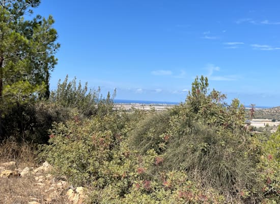 אזור הכרמל משובץ פינות חמד ומסלולים יפים בכל עונות השנה / צילום: חגית אברון אזור הכרמל משובץ פינות חמד ומסלולים יפים בכל עונות השנה / צילום: חגית אברון
