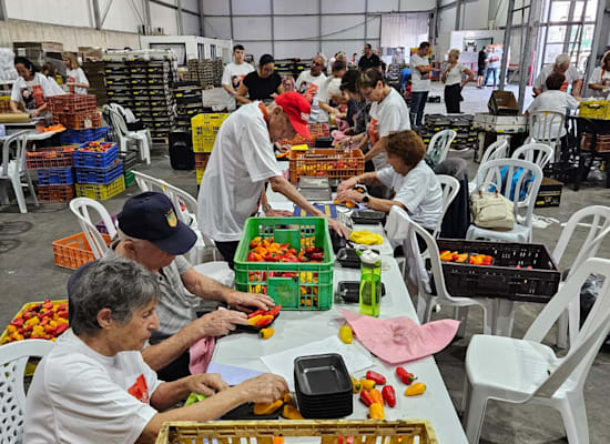 דיירי מגדלי הים התיכון מתנדבים עבור משק זהבי מזיקים / צילום: מגדלי הים התיכון