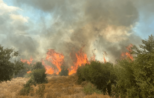 השריפות בגליל התחתון בעקבות המטח האחרון / צילום: כבאות והצלה צפון