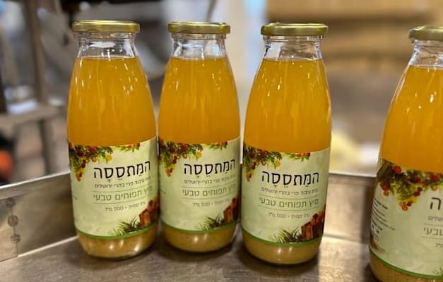 מיצי פירות ומעדני פרי במתססה / צילום: ליהי רוזנברג מיצי פירות ומעדני פרי במתססה / צילום: ליהי רוזנברג