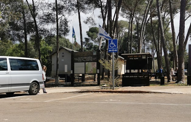 יער אילנות, הצד המזרחי / צילום: יובל וגנר יער אילנות, הצד המזרחי / צילום: יובל וגנר