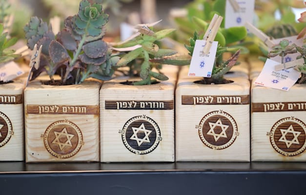 עציצי הסוקולנטים שחולקו בכנס / צילום: כדיה לוי עציצי הסוקולנטים שחולקו בכנס / צילום: כדיה לוי