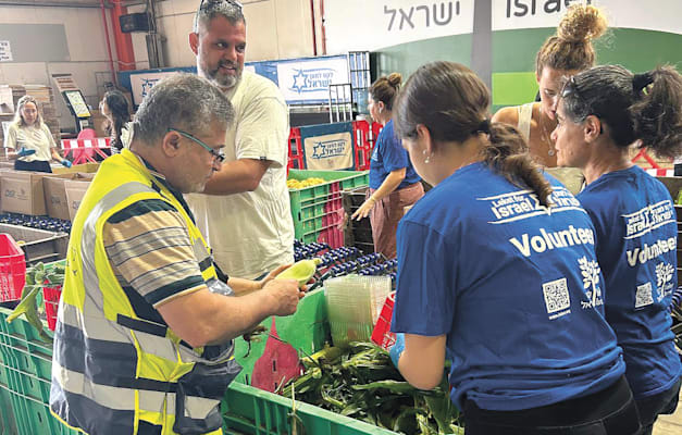 ישראל מתגייסת / צילום: באדיבות לקט ישראל ישראל מתגייסת / צילום: באדיבות לקט ישראל