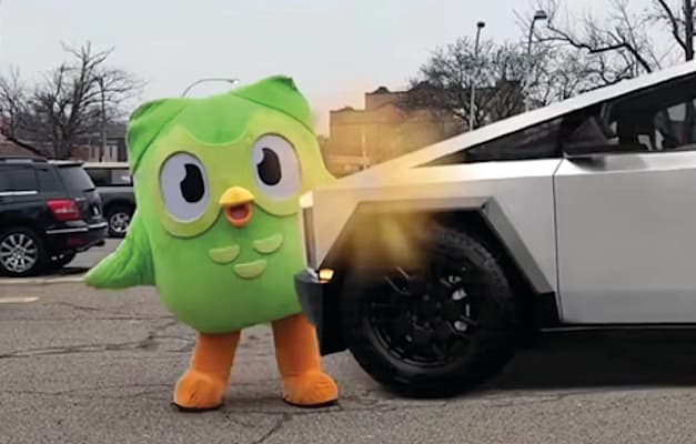 Duolingo / צילום: צילום מסך Duolingo / צילום: צילום מסך