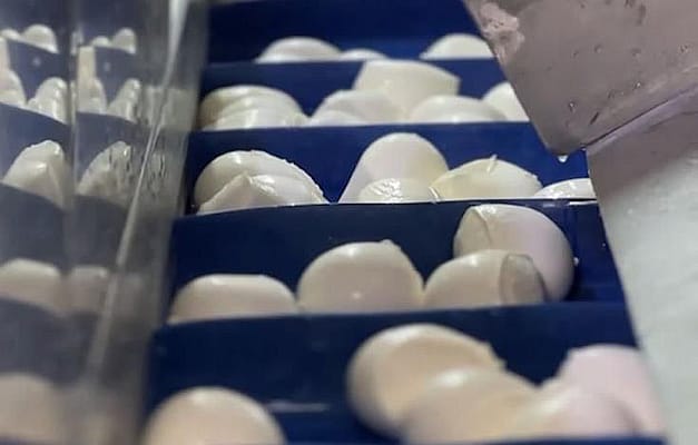 מפעלי מחלבות גד ומוצריו. ''מנהלים את החברה בלי קשר לשוק ההון'' / צילום: מחלבות גד