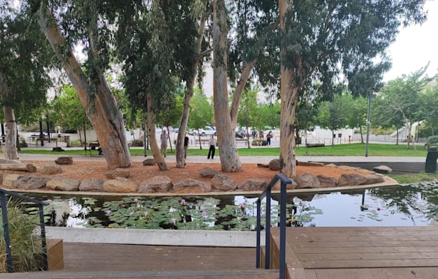 שכונת נאות אפקה בת''א / צילום: גלי וינרב שכונת נאות אפקה בת''א / צילום: גלי וינרב