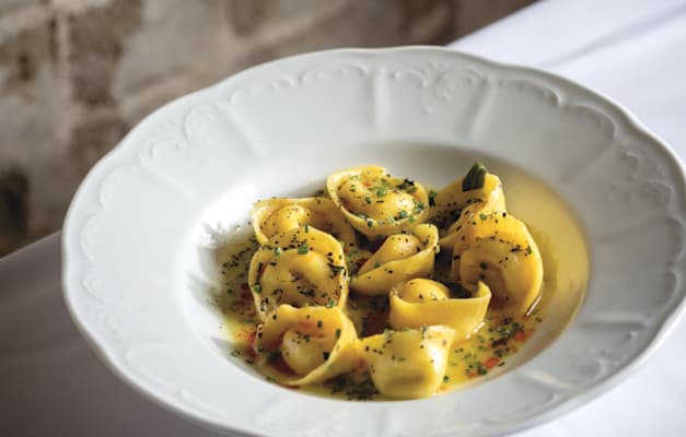 טורטליני זנב שור / צילום: אסף קרלה טורטליני זנב שור / צילום: אסף קרלה