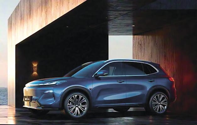 ג'ילי STARRAY פלאג-אין / צילום: יח''צ ג'ילי STARRAY פלאג-אין / צילום: יח''צ