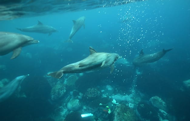 צילום: Shutterstock צילום: Shutterstock