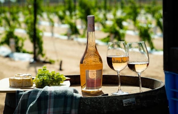 יין של יקב רמת נגב / צילום: שמעיה שחף יין של יקב רמת נגב / צילום: שמעיה שחף