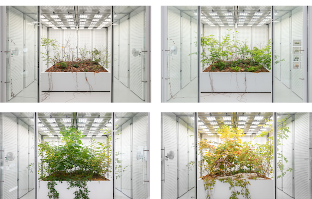 קפסולה אקולוגית בחברת אוקסמן / צילום:  באדיבות Oxman